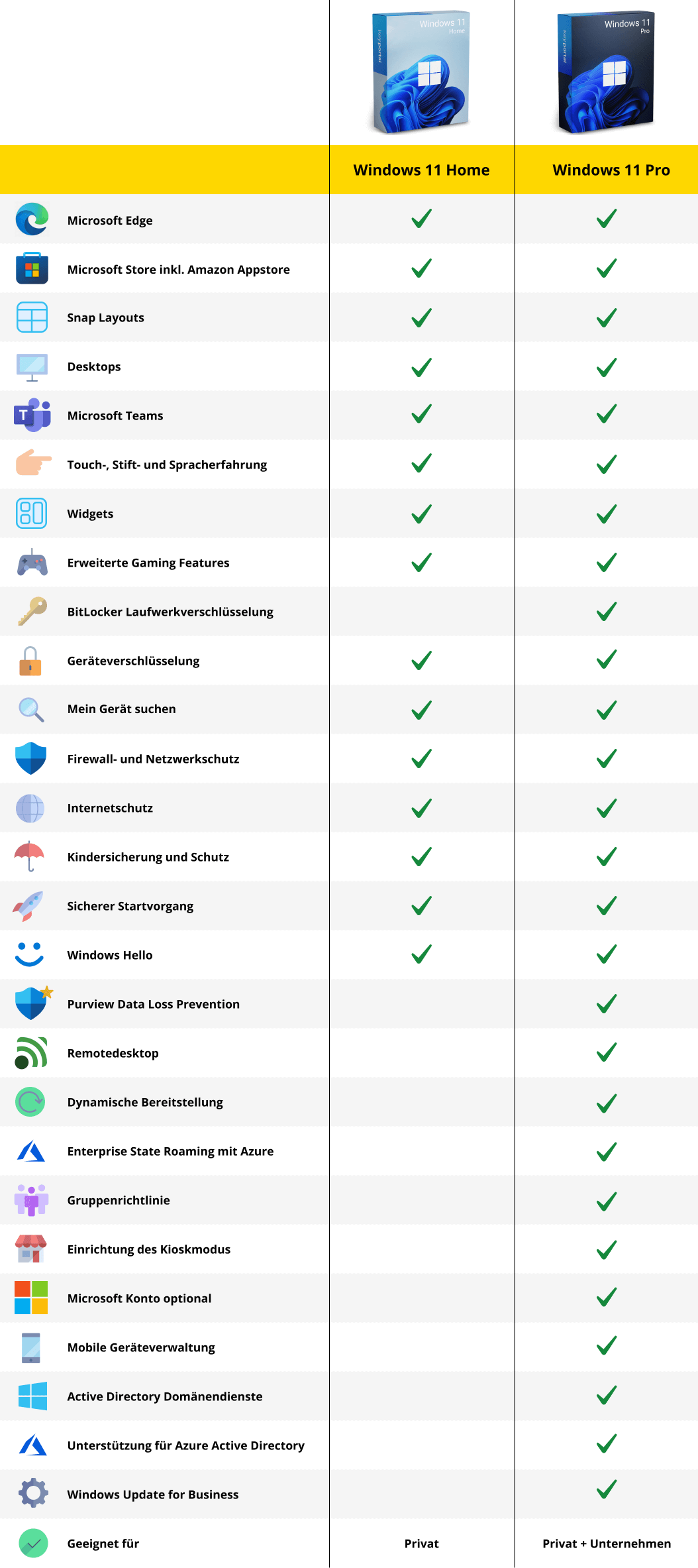 Du hast die Wahl bei Microsoft Windows 11 Pro oder Home